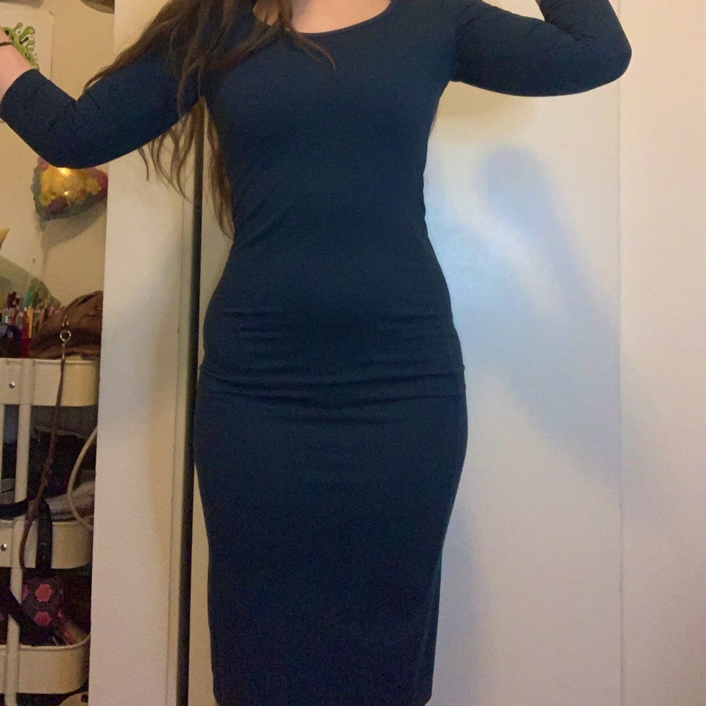 Fitted Dress